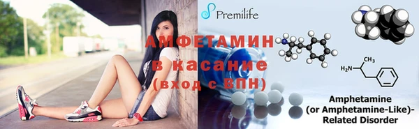 прущие грибы Бронницы