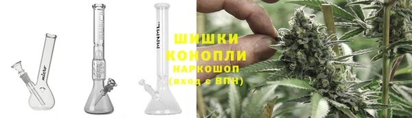 прущие грибы Бронницы