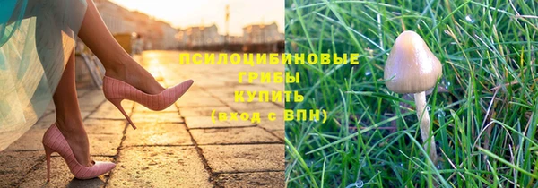 скорость Бородино