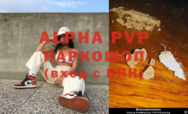 прущие грибы Бронницы