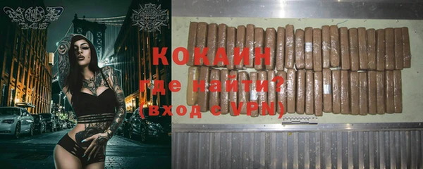 прущие грибы Бронницы